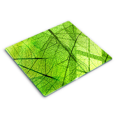 Decorativ placă sticla protectie aragaz Natura venelor frunzelor 60x52 cm