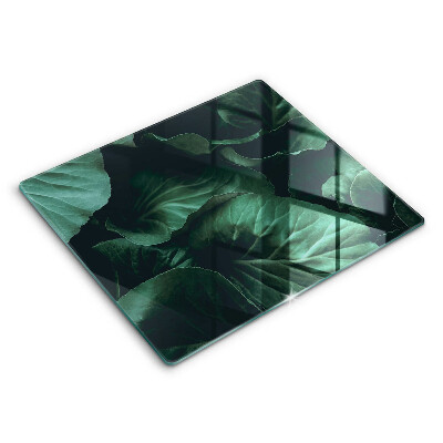 Decorativ placă sticla protectie aragaz Frunze sălbatice întunecate 60x52 cm 