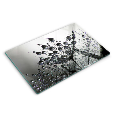 Modern placă din sticla protectie perete bucatarie Păpădii și rouă 80x52 cm