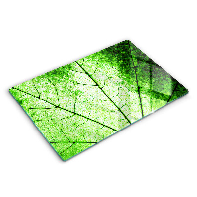 Modern placă din sticla protectie perete bucatarie Vene decorative din frunze 80x52 cm