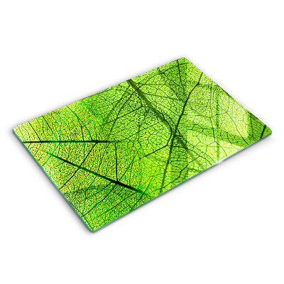 Modern placă din sticla protectie perete bucatarie Natura venelor frunzelor 80x52 cm