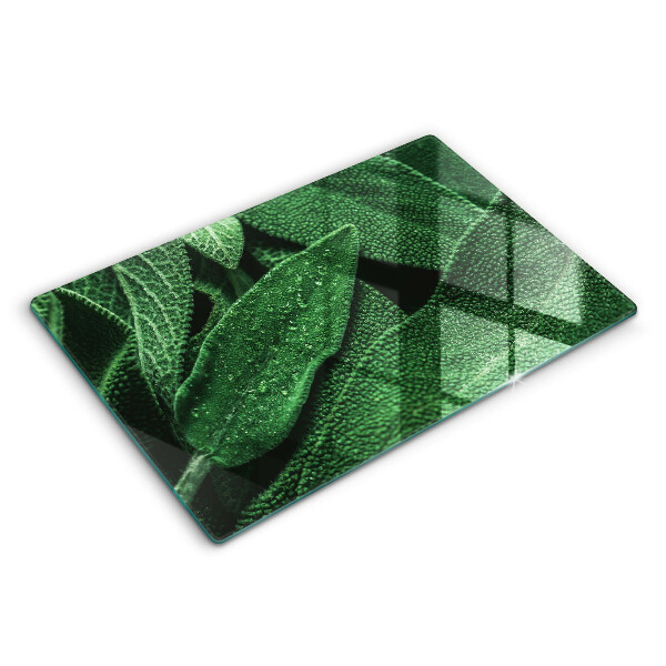Modern placă din sticla protectie perete bucatarie Frunzele plantei 80x52 cm