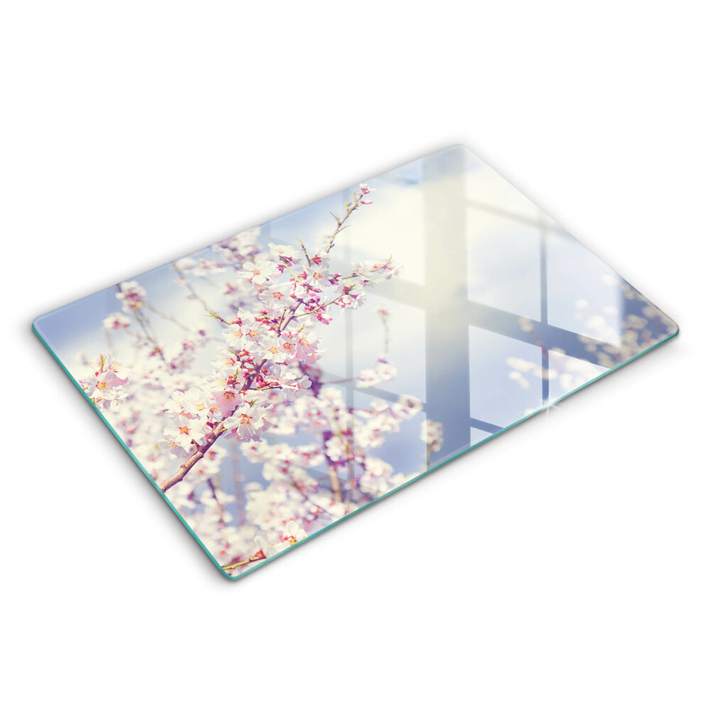 Modern placă din sticla protectie perete bucatarie Copac înflorit 80x52 cm