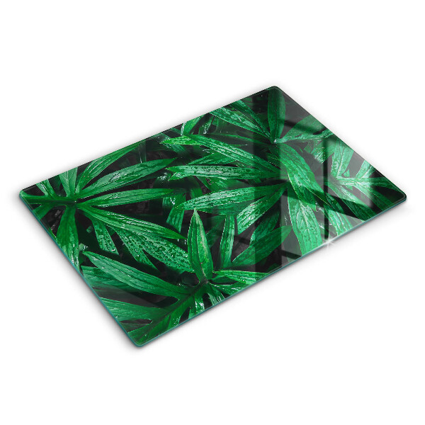Modern placă din sticla protectie perete bucatarie Frunze de plante 80x52 cm