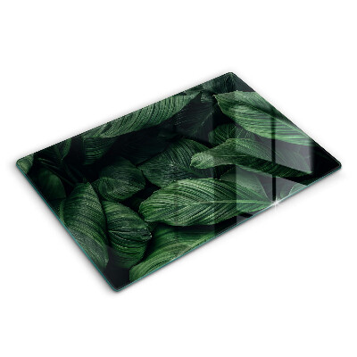 Modern placă din sticla protectie perete bucatarie Frunze întunecate 80x52 cm