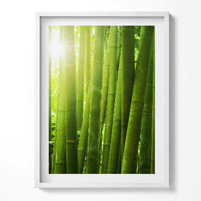Tablou living cu rama Tulpini verzi de bambus
