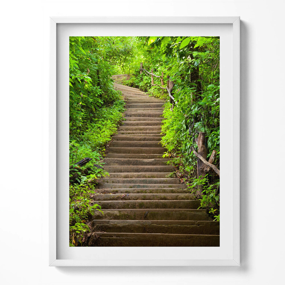 Tablou living cu rama Scări în mijlocul pădurii