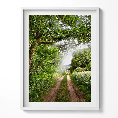 Tablou living cu rama Cale, copaci și raze de soare