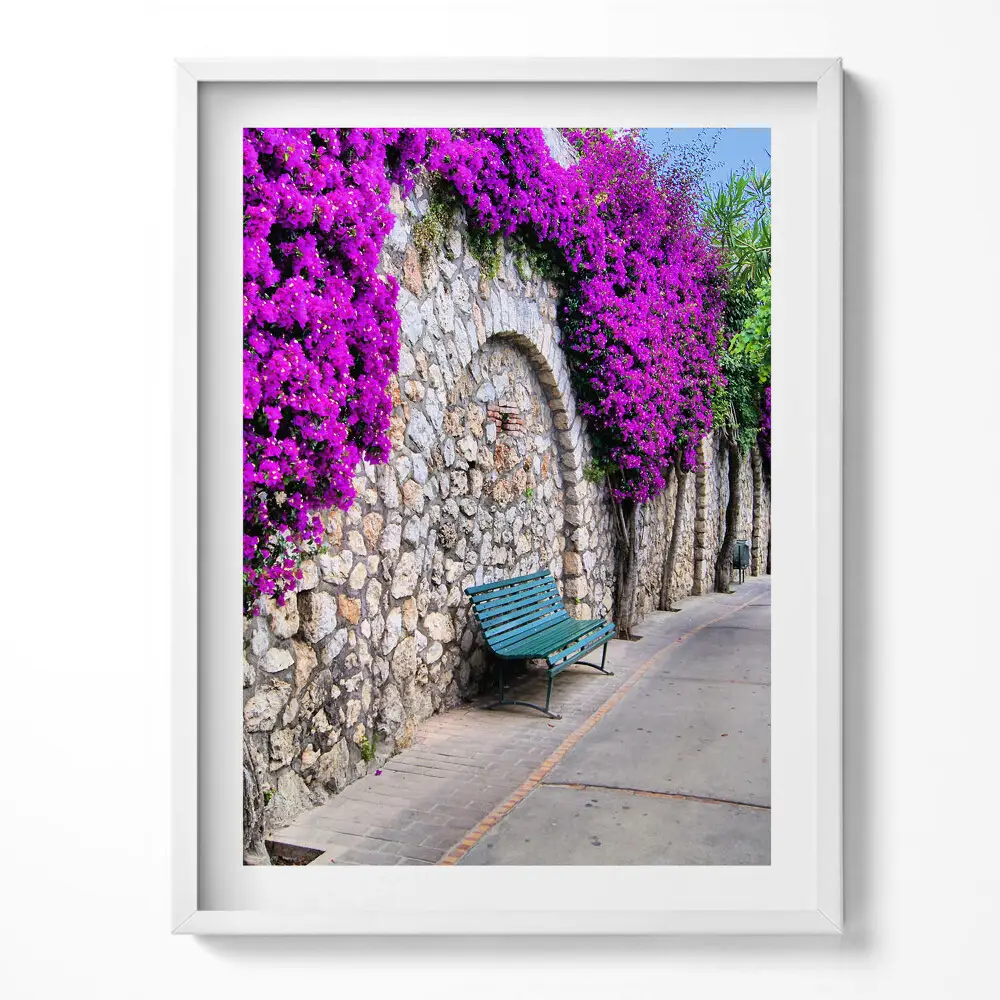 Tablou rama Calea cu flori în Capri, Italia