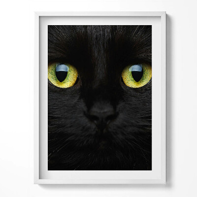 Tablou rama Ochi de pisică animale
