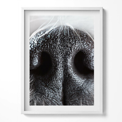 Tablou living cu rama Prim-plan al nasului unui animal