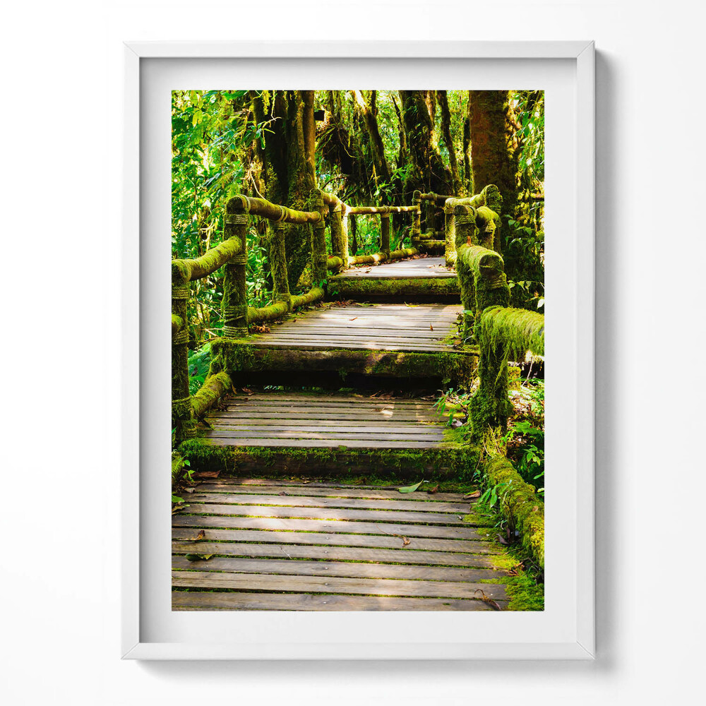 Tablou rama Alee din lemn - agroturism