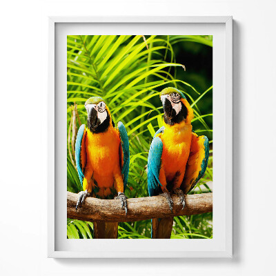 Tablou rama Doi papagali macaw colorați în junglă