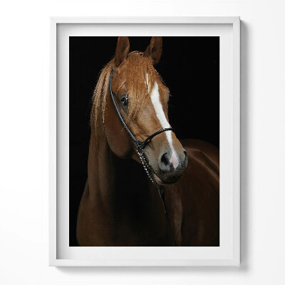 Tablou rama Cal brun