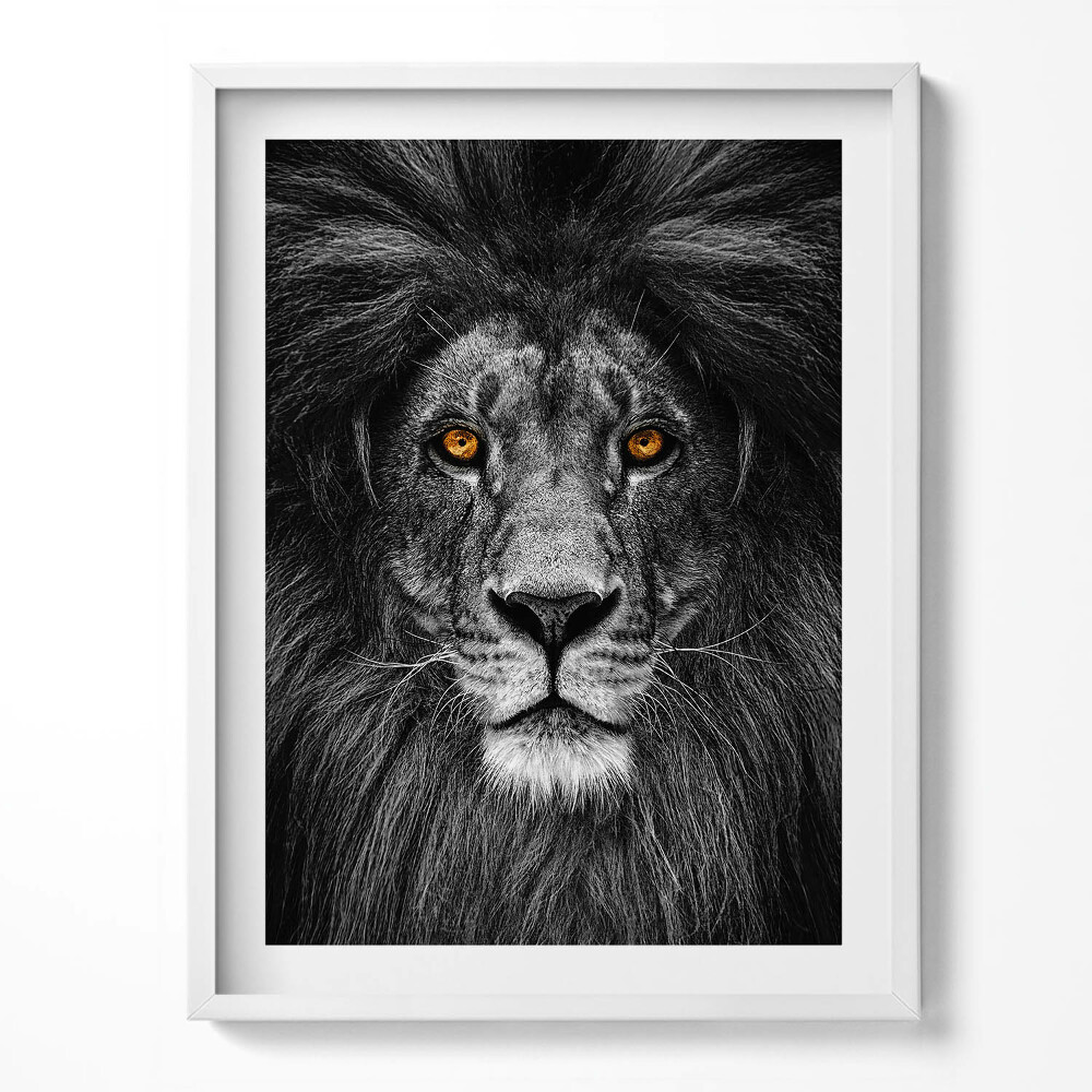 Tablou living cu rama Cap de leu alb-negru
