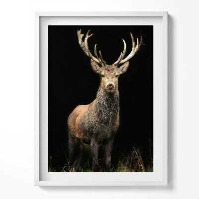 Tablou rama Cerb pe fundal negru