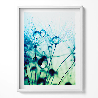 Tablou rama Picături de rouă pe păpădii