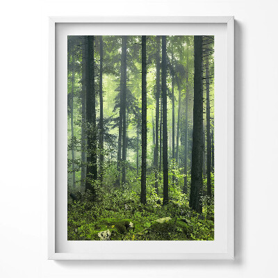 Tablou rama Peisaj de copaci și vegetație forestieră