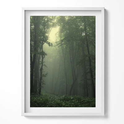 Tablou living cu rama Pădurea încețoșată dimineața