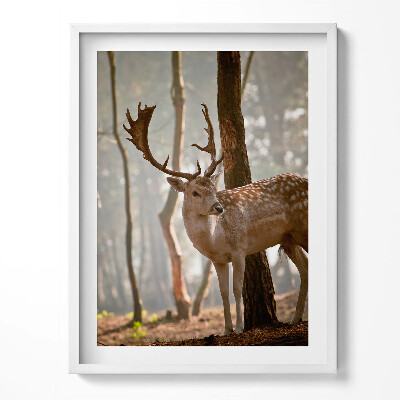 Tablou rama Cerbi în strălucirea soarelui care răsare