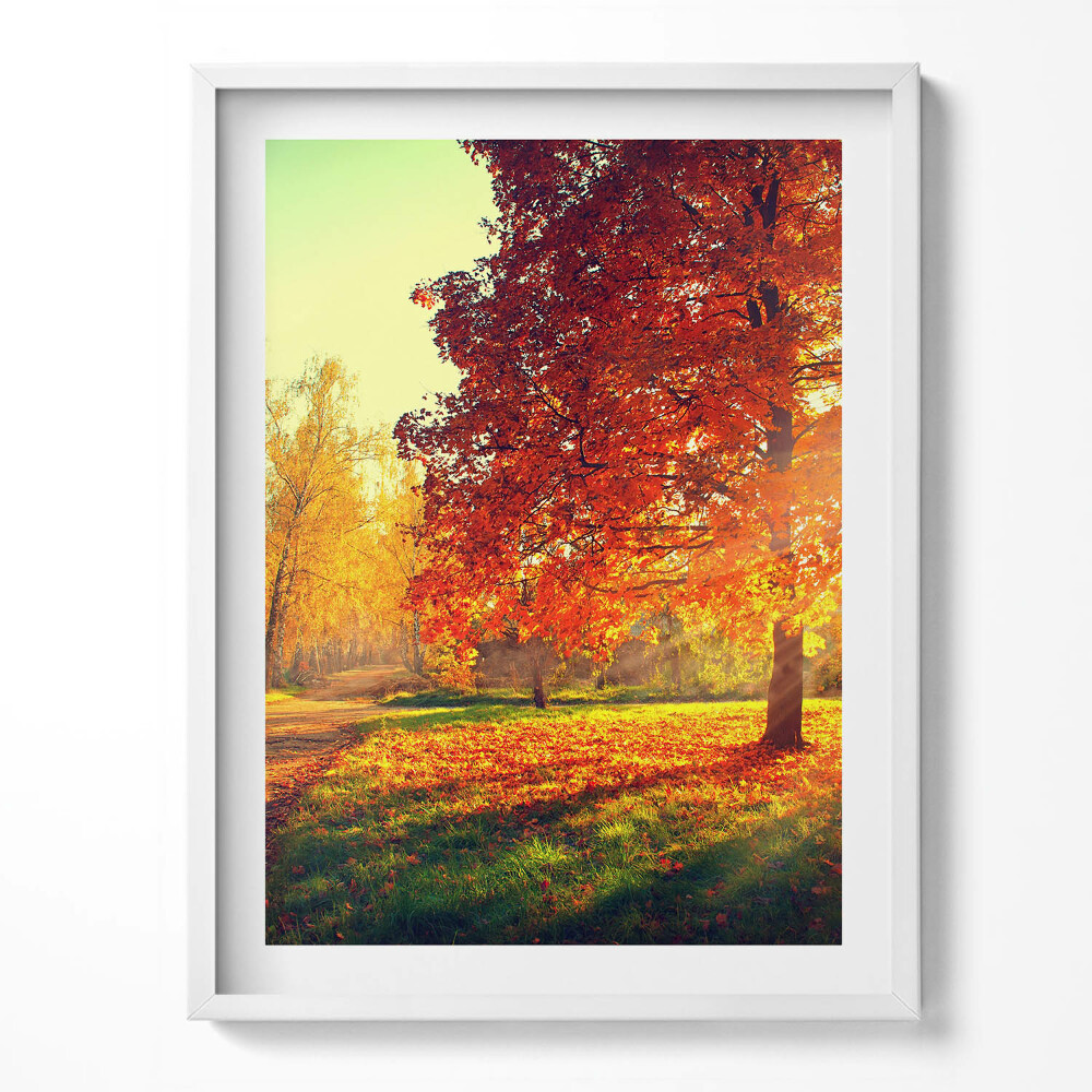 Tablou rama Parc de toamnă