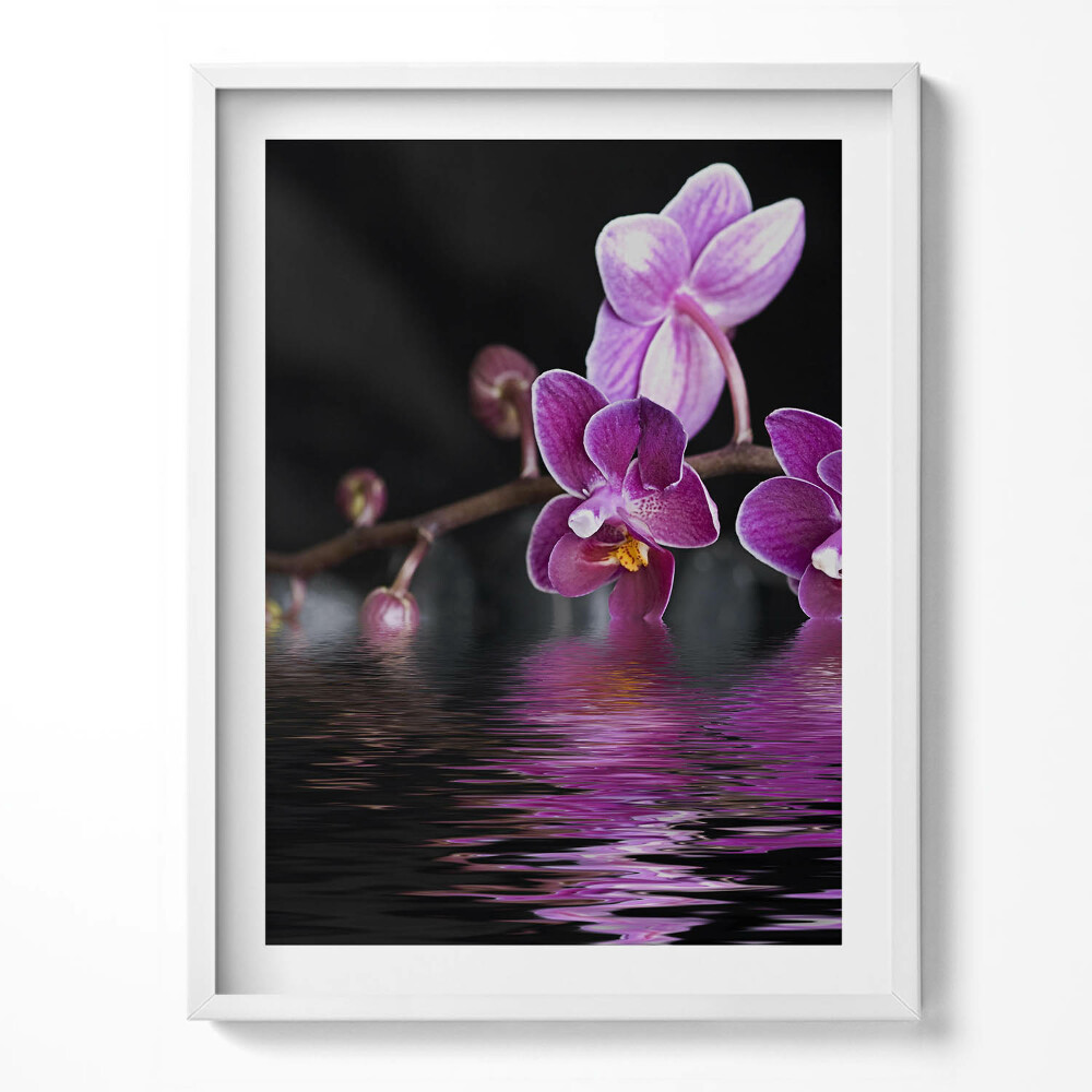 Tablou rama Orhidee roz pe apă