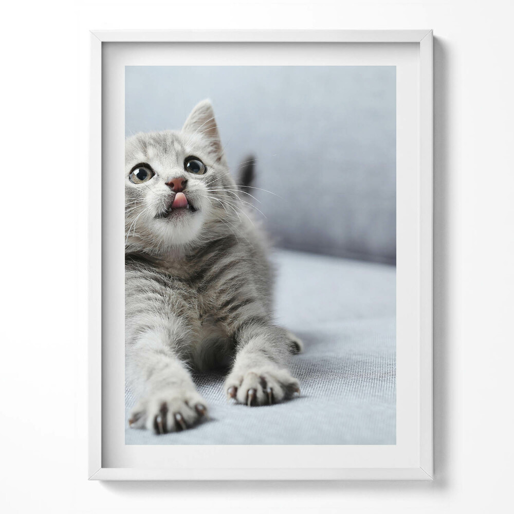 Tablou rama Pisicuță adorabilă pe canapea