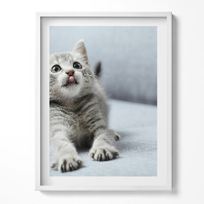 Tablou rama Pisicuță adorabilă pe canapea