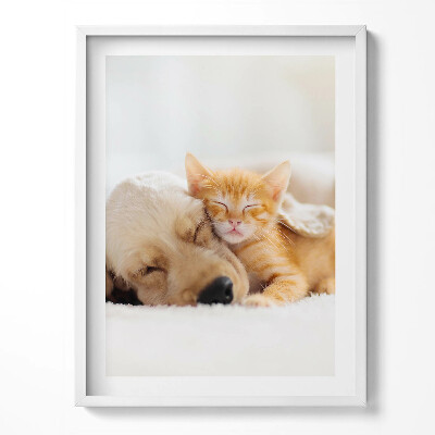 Tablou living cu rama Animale care dorm, pisică și câine