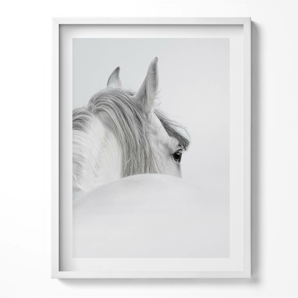 Tablou rama Cal andaluz în ceață