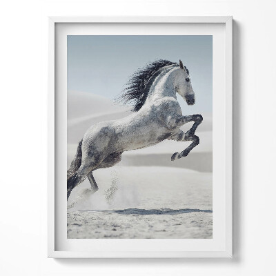 Tablou rama Cal alb galopant