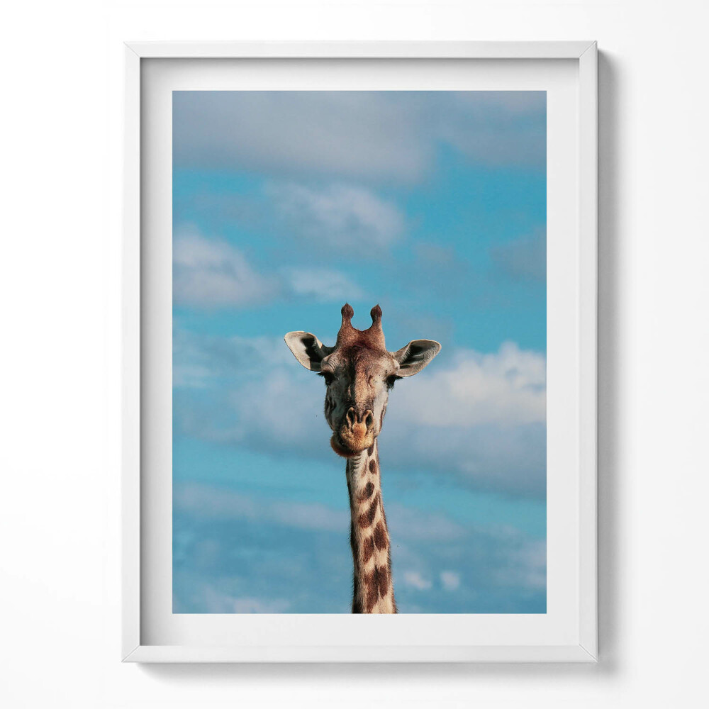 Tablou rama Cap de girafă pe cer