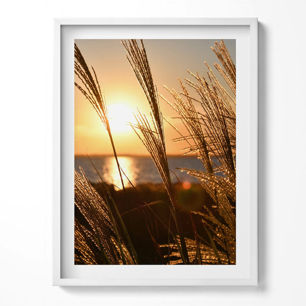 Tablou rama Grâul în ora de aur