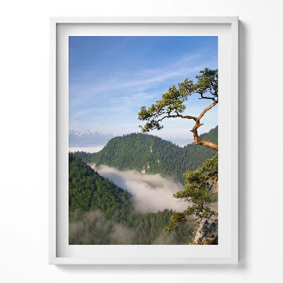 Tablou living cu rama Vârful Sokolica din Munții Pieniny