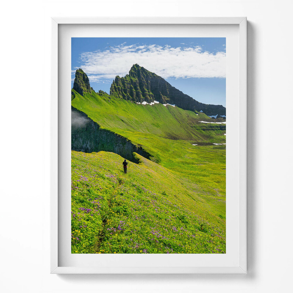 Tablou rama Rezervația Hornstrandir din Islanda