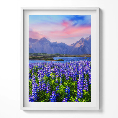 Tablou living cu rama Câmpuri de lavandă - Islanda