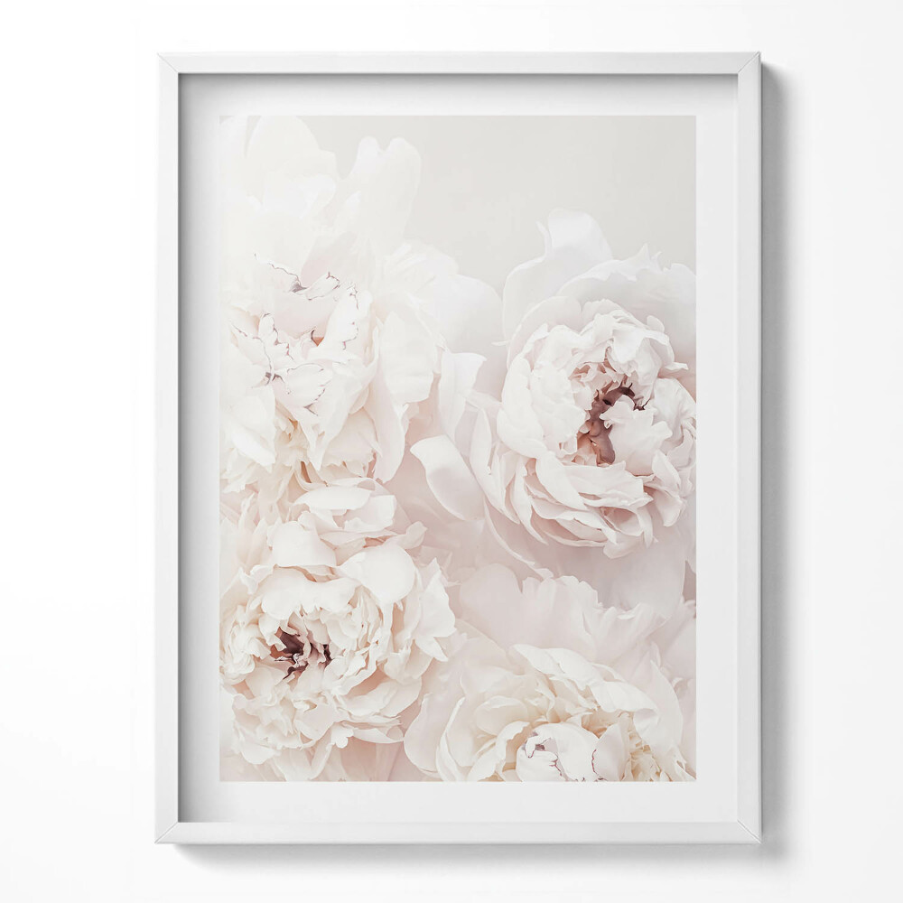 Tablou rama Flori de bujor