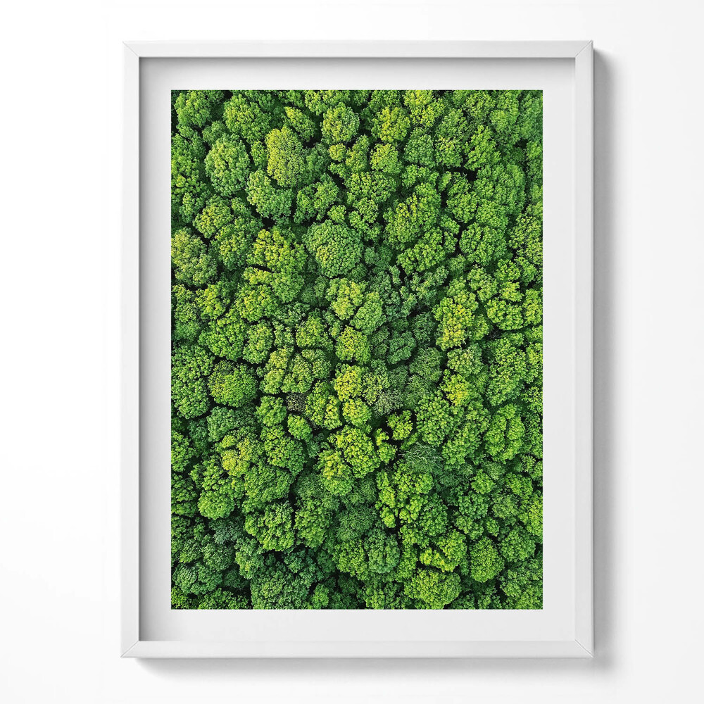 Tablou rama Pădurea din vedere