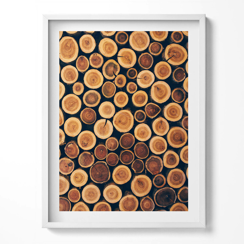 Tablou living cu rama Buturugi de copac din lemn