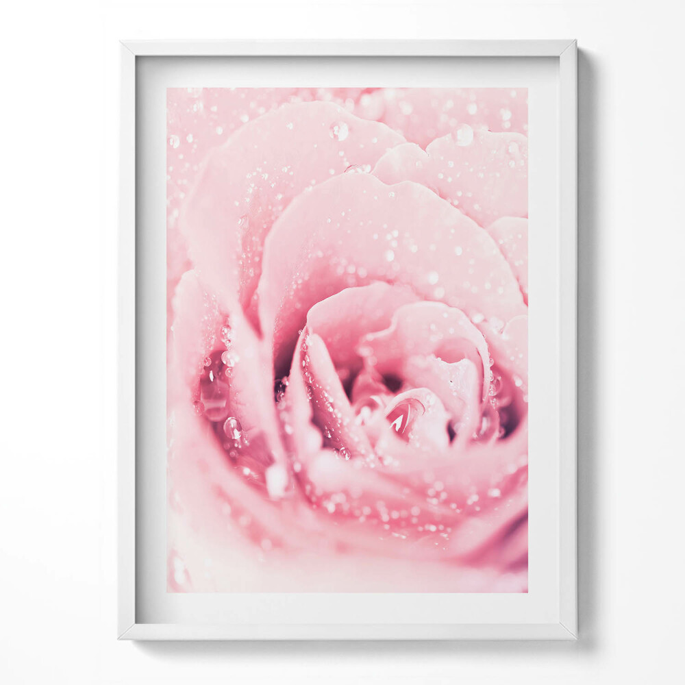 Tablou rama Floare roz delicată