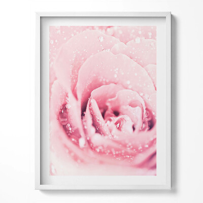 Tablou rama Floare roz delicată