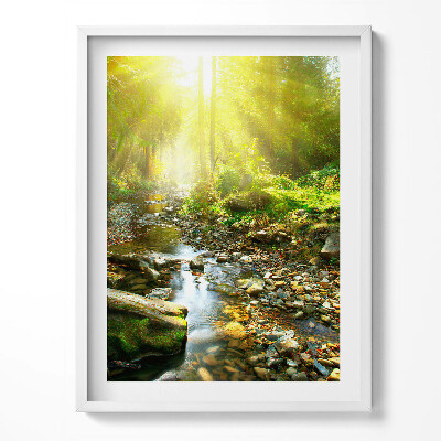 Tablou living cu rama Pârâu de pădure în razele soarelui
