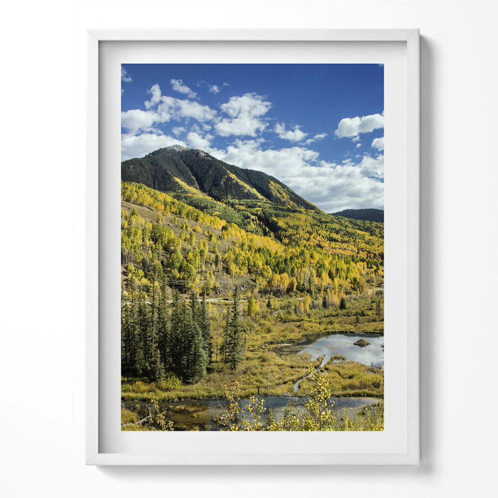 Tablou rama Peisaj montan cu vegetație