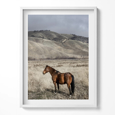 Tablou living cu rama Un cal călare printre iarbă