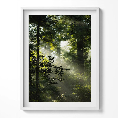 Tablou rama Razele soarelui și copacii