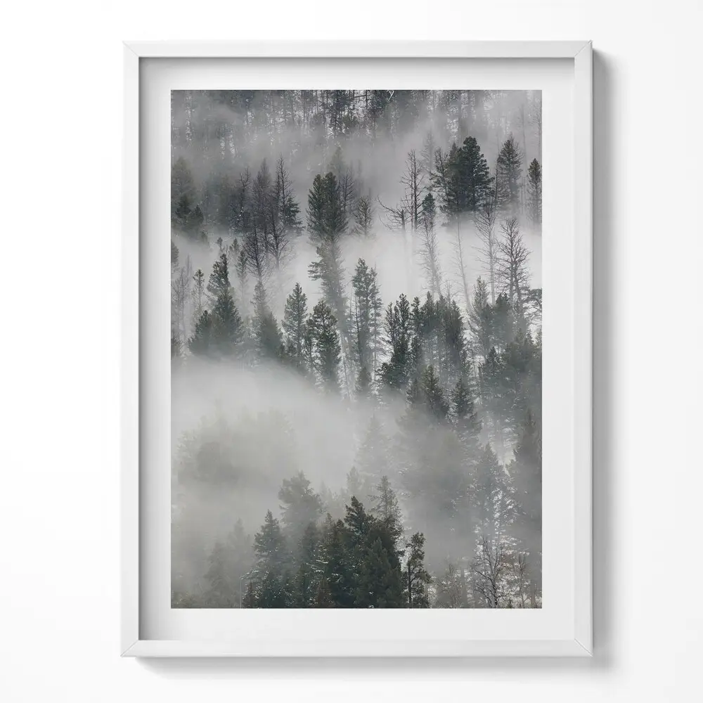 Tablou rama Peisaj de pădure cețos