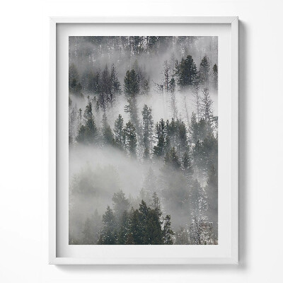 Tablou rama Peisaj de pădure cețos