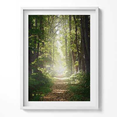 Tablou rama Drum forestier printre copaci