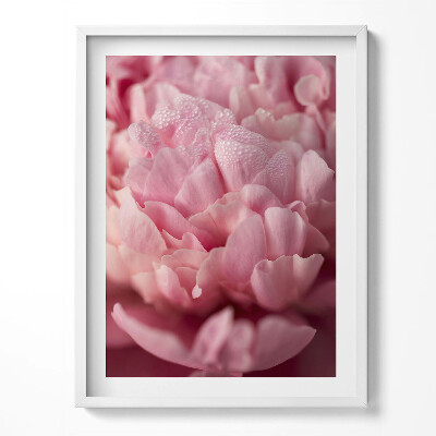 Tablou rama Petale delicate de flori