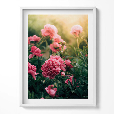 Tablou living cu rama Flori roz în pajiște